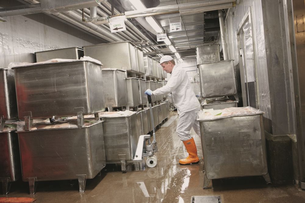 BT Lifter Galvanized